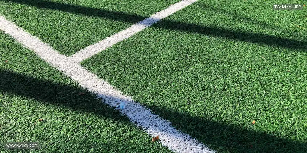 🎁 限量潮品，独家发售，体育周边让热爱触手可及！